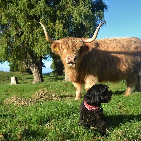 Highlands On Homestead Oamaru Εξωτερικό φωτογραφία