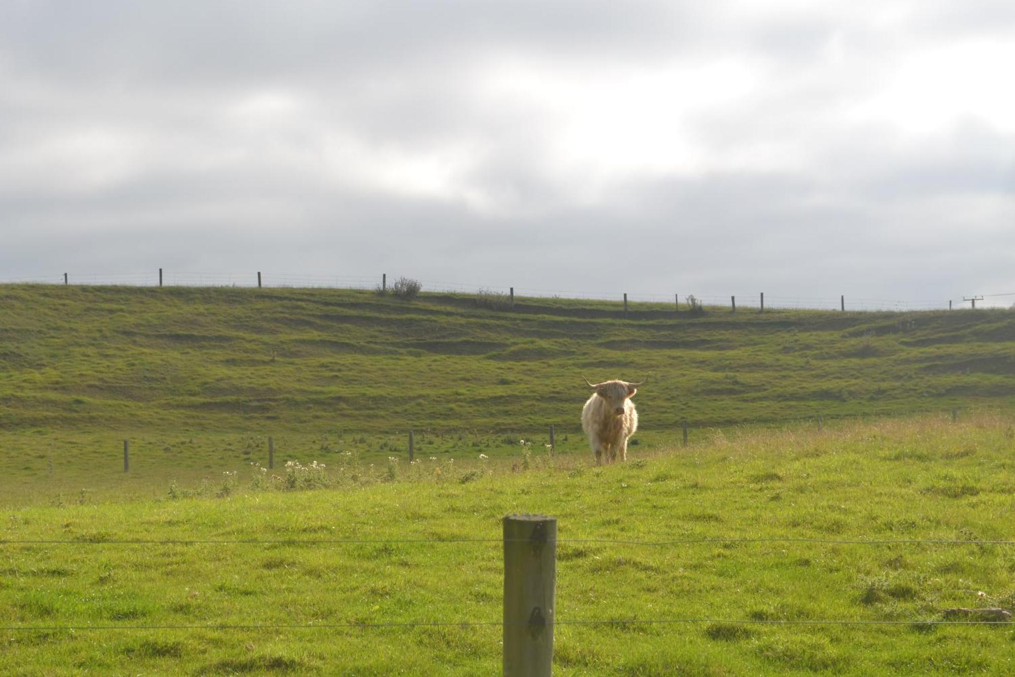 Highlands On Homestead Oamaru Εξωτερικό φωτογραφία