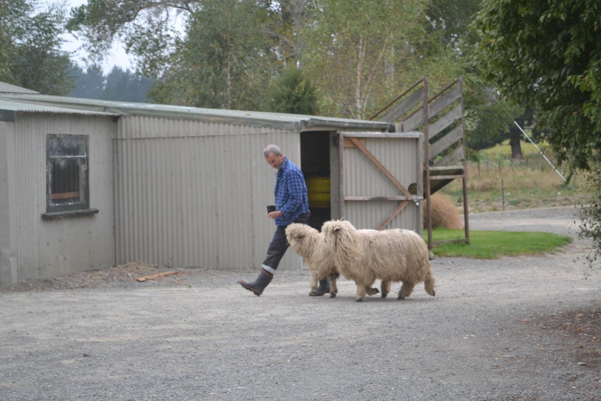 Highlands On Homestead Oamaru Εξωτερικό φωτογραφία