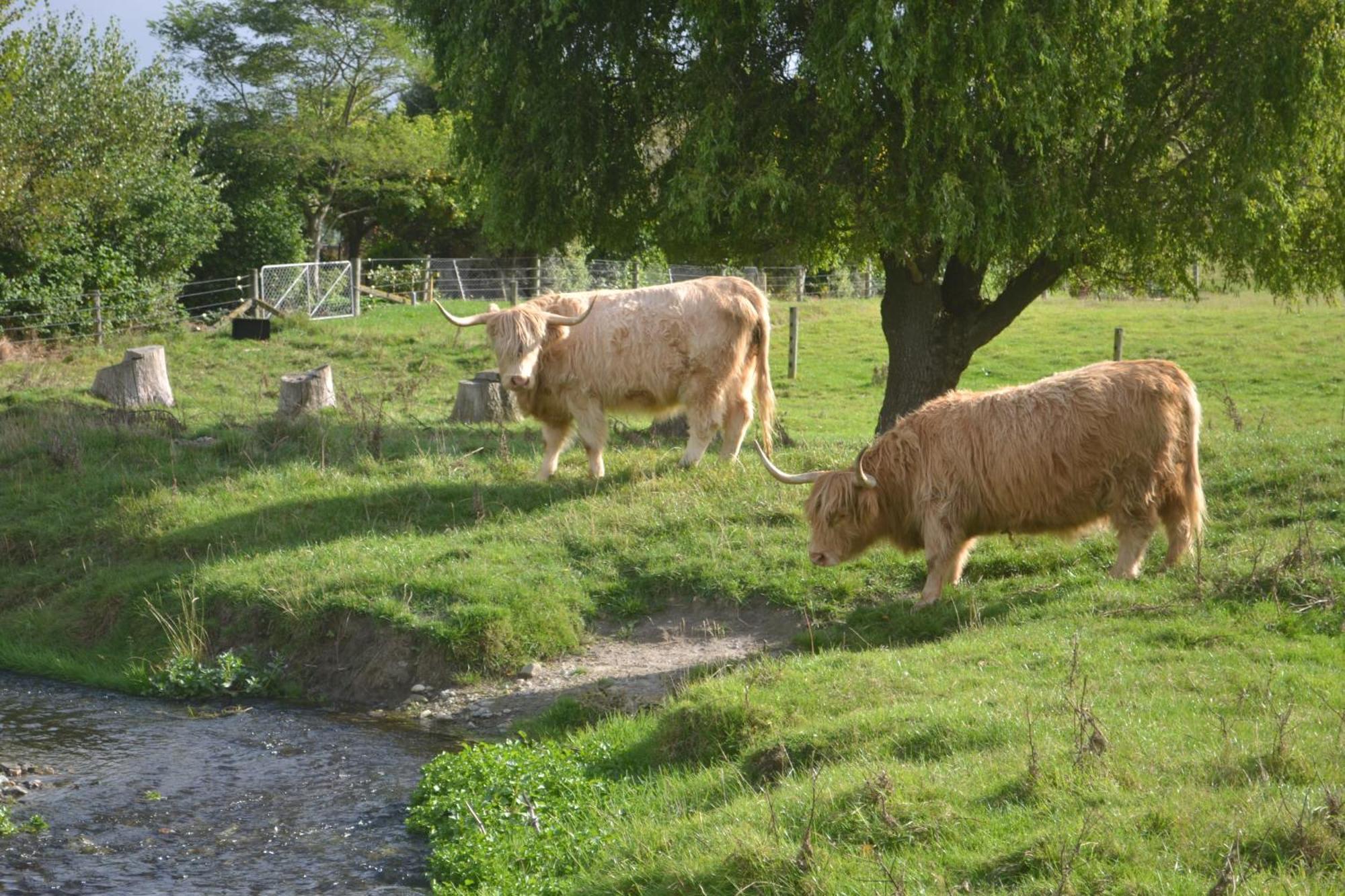 Highlands On Homestead Oamaru Εξωτερικό φωτογραφία