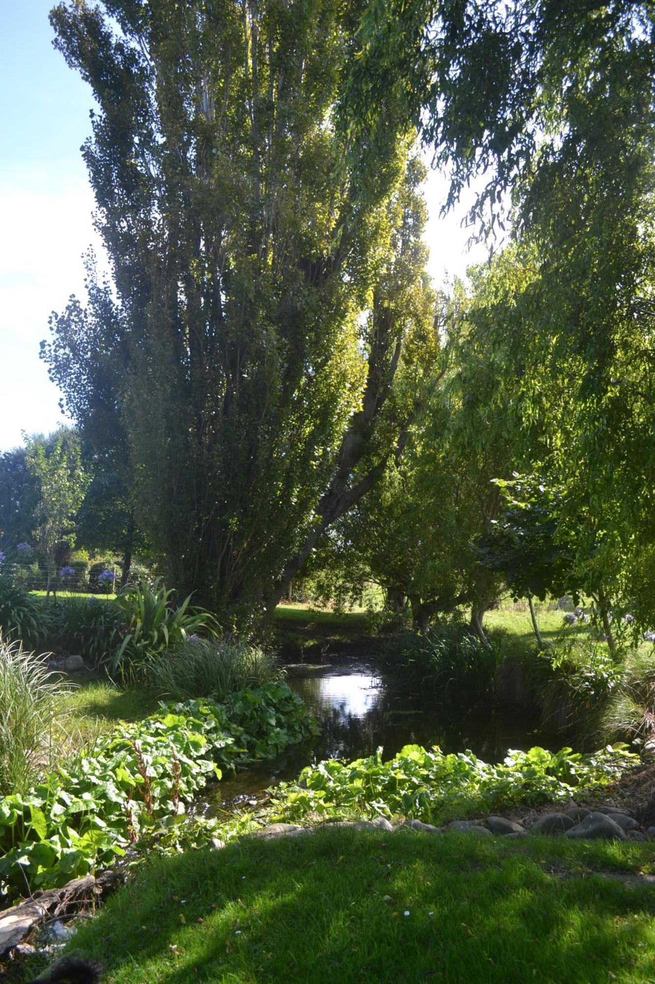 Highlands On Homestead Oamaru Εξωτερικό φωτογραφία
