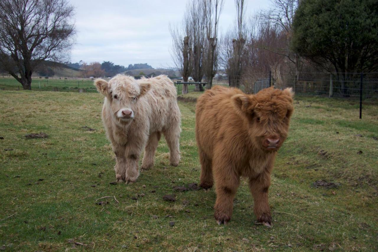 Highlands On Homestead Oamaru Εξωτερικό φωτογραφία