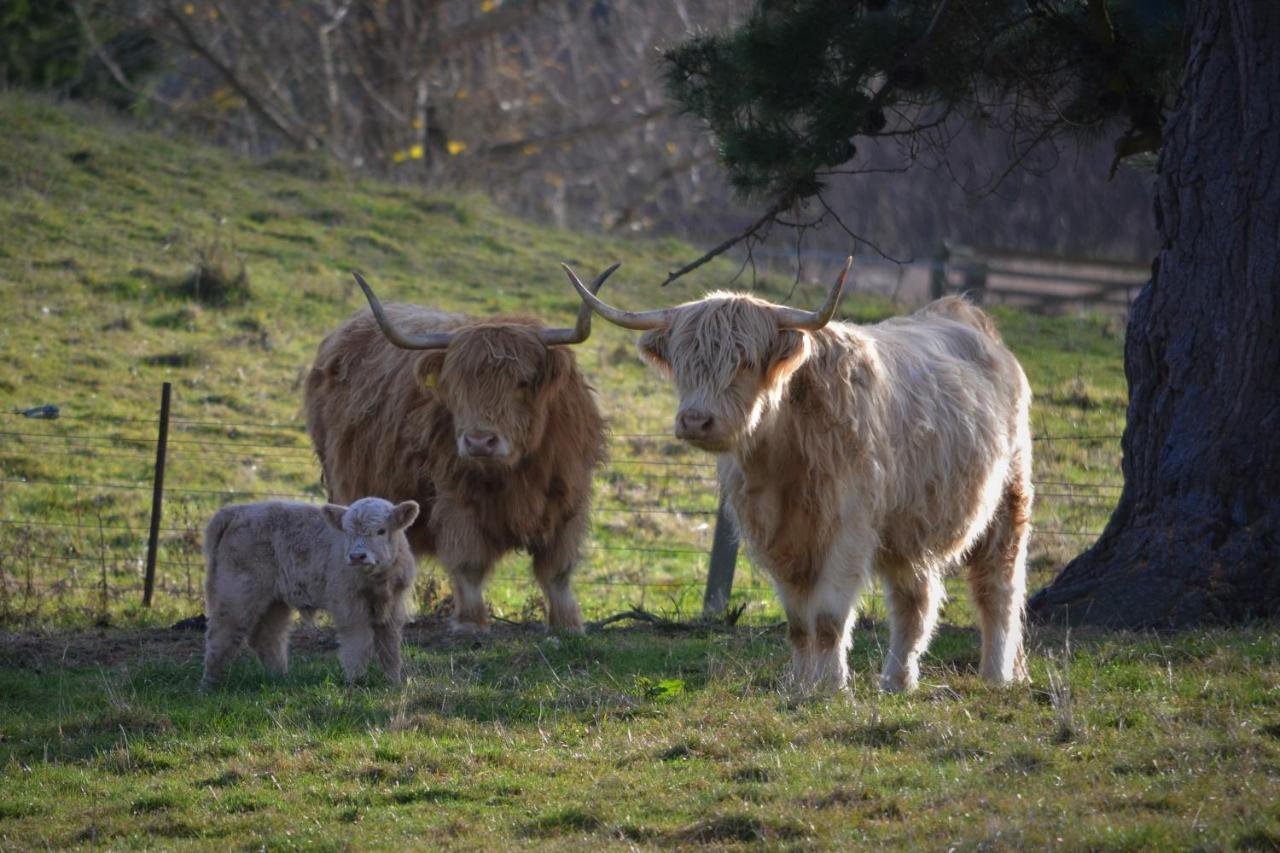 Highlands On Homestead Oamaru Εξωτερικό φωτογραφία